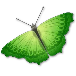 Butterfly Gif Png