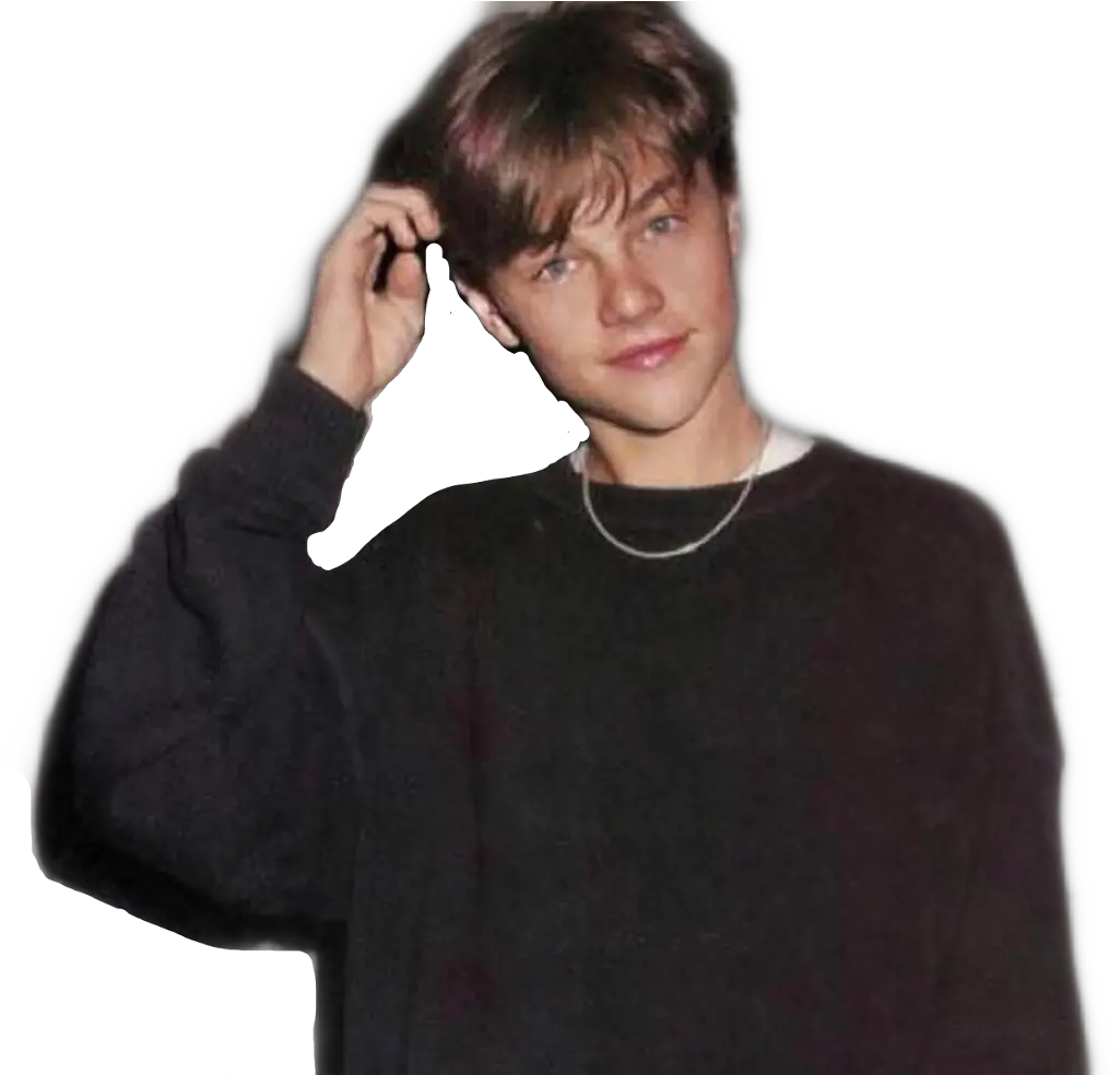 Leonardo Dicaprio Leonardodicaprio Leonardo Di Caprio Young Png Leonardo Dicaprio Png