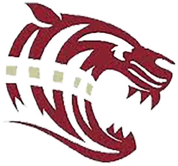 Team Home Dawson County Tigers Sports Dawson County Schools Tiger Png Playgirls Logo