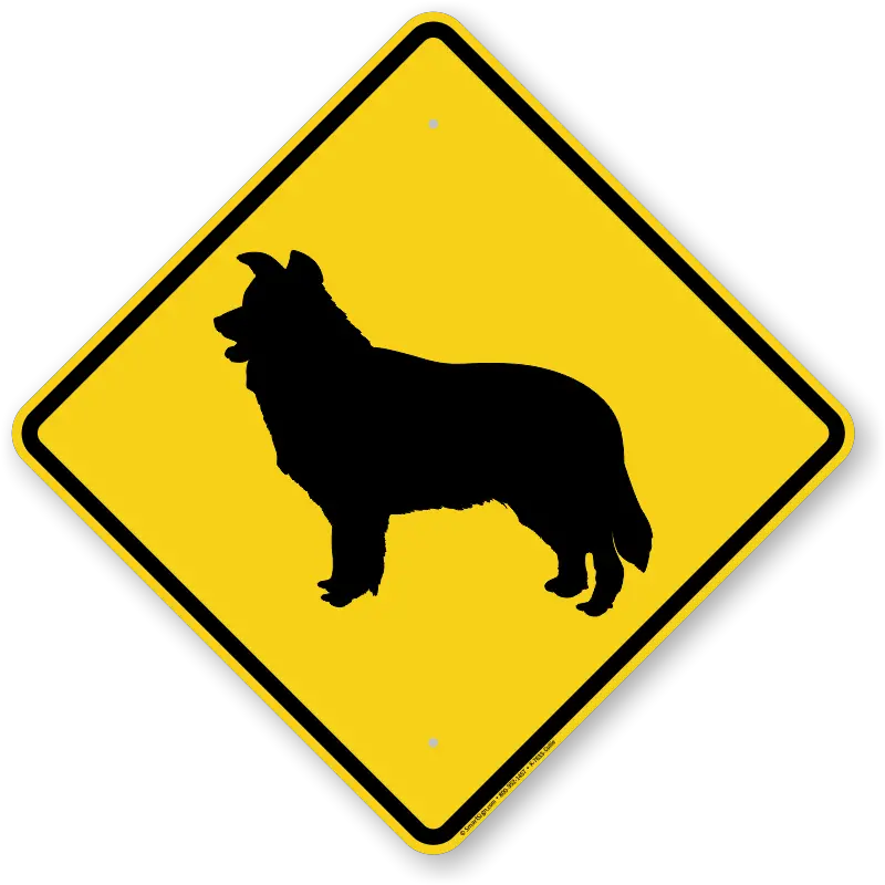 Border Collie Dog Symbol Sign Guard Beware Border Collie Guard Dog Png Border Collie Png png
