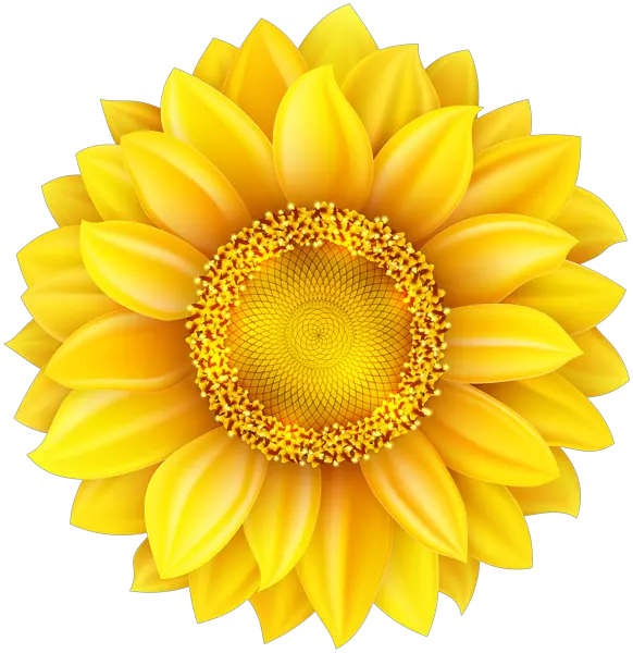 Cartoon Yellow Sunflower Png