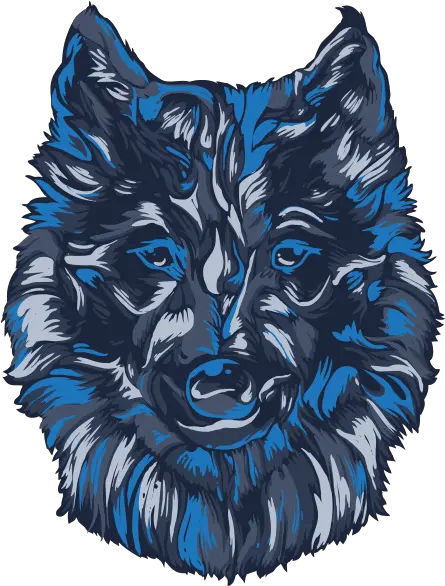 Race Info Coyote Hills Brazen Racing Wolfdog Png Coyote Png