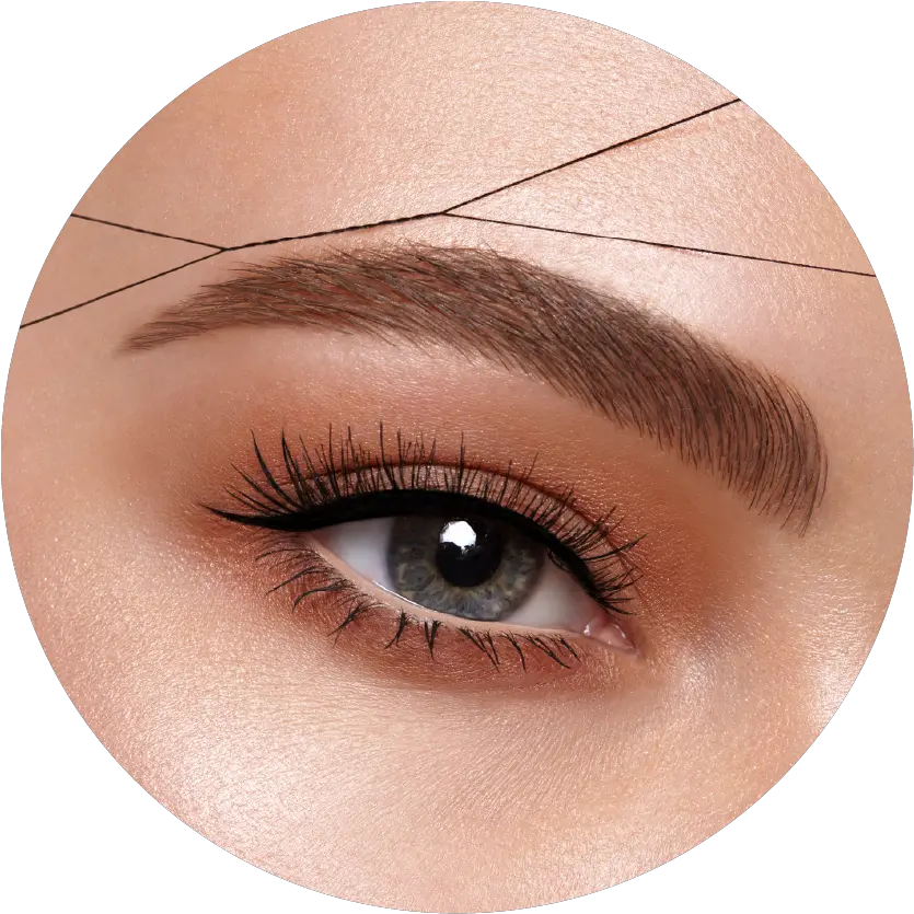 Download Hd Brows Training Beauty Parlour Threading Eyebrows Png Brows Png