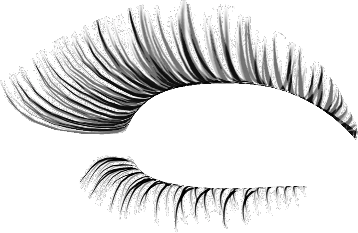 Transparent Background Eyelashes Eyelashes Png Eyelashes Transparent Background