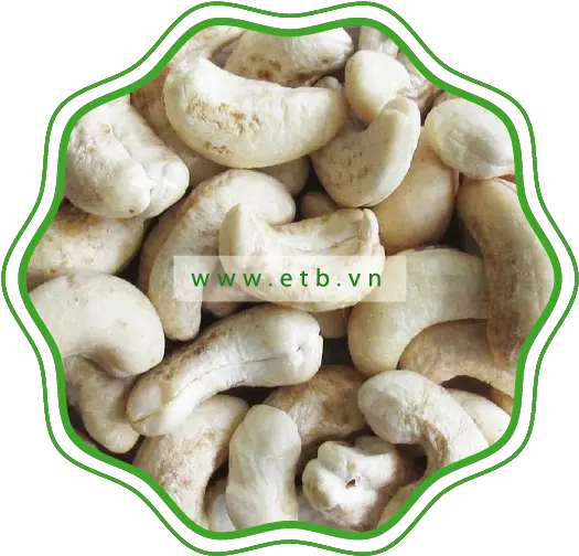 Dw Cashew Kernels U2013 Etb Hattusas Png Cashew Png