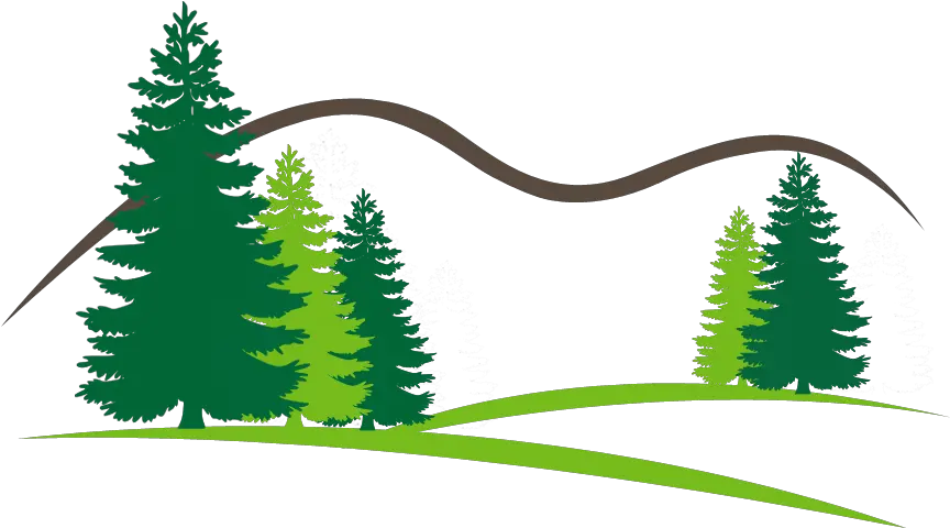 Welcome To Open Canopy Tree U0026 Landscape Open Canopy Tree Pine Tree Silhouette Vector Png Tree Canopy Png png