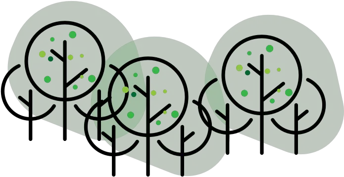 Why We Forecast Almonds So Put Out Our April 2020 Crop Circle Png Almond Transparent