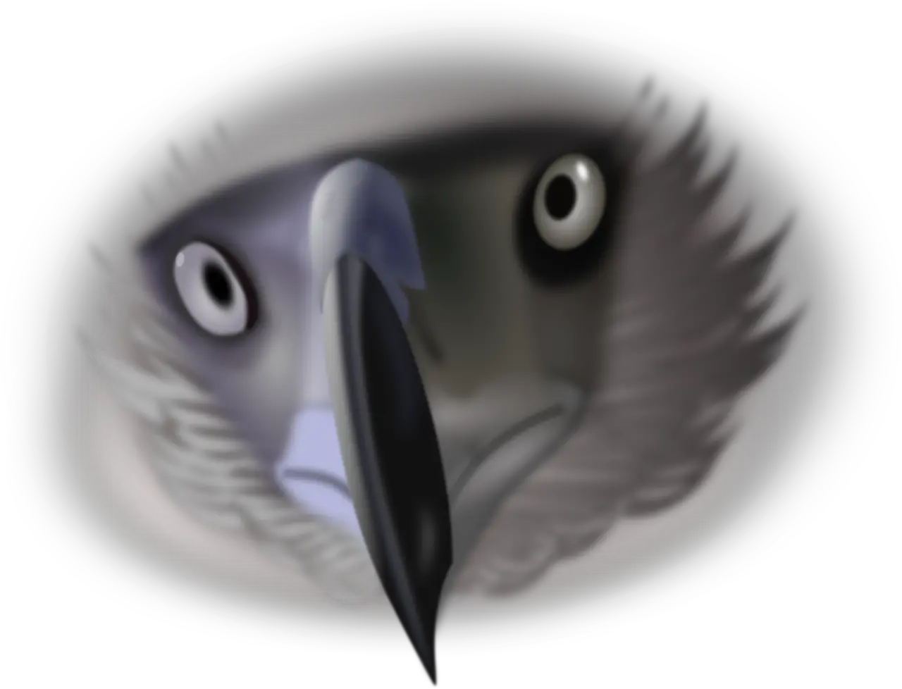 Download Free Photo Of Eaglebirdeyesanimalnature From Bird Eyes Png Creepy Eye Png