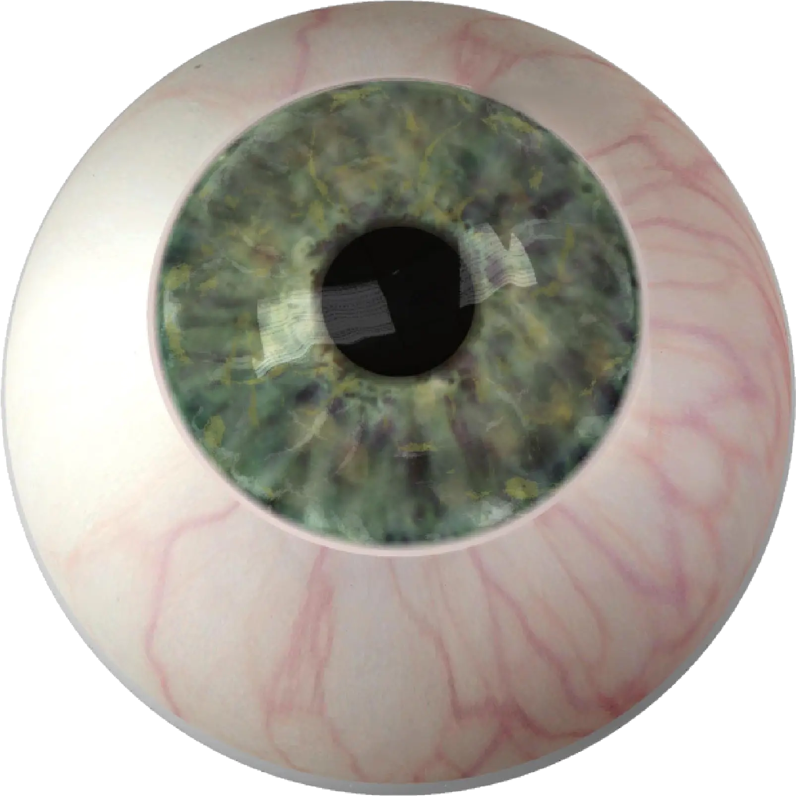 Download Eyes Png Image For Free Eyeball Png Creepy Eye Png