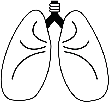 Lungs Cartoon Icon Image Illustration 550x550 Png Language Lungs Icon