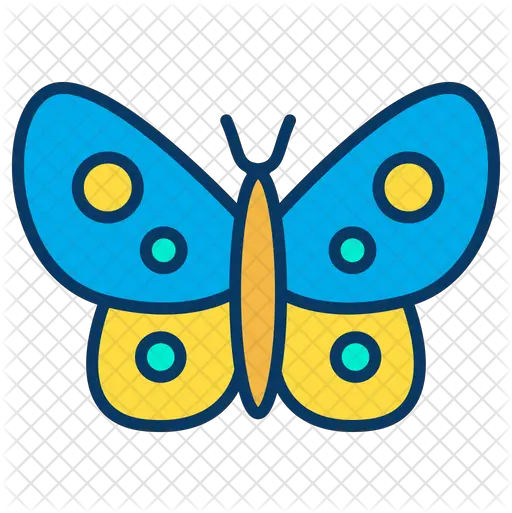 Silk Butterfly Icon Of Colored Outline Swallowtail Butterfly Png Butterfly Outline Png png