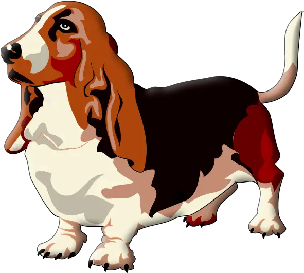 Dog Beagle Puppy Paw Clipart Basset Hound Png Transparent Puppy