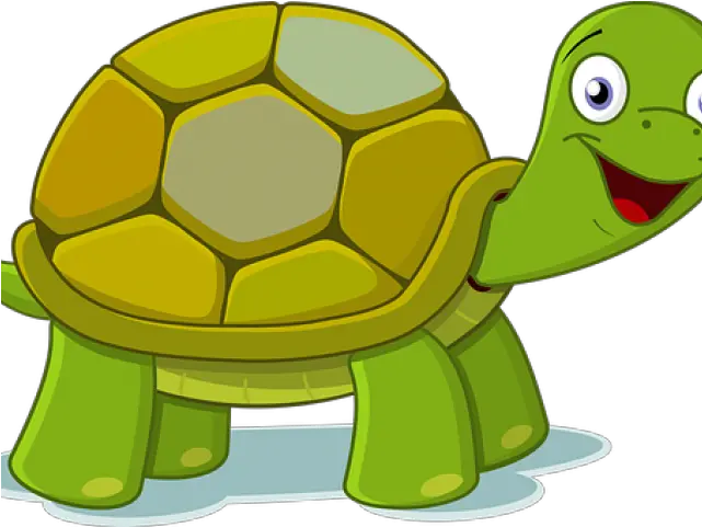 Transparent Background Turtle Pet Turtle Clipart Png Turtle Transparent