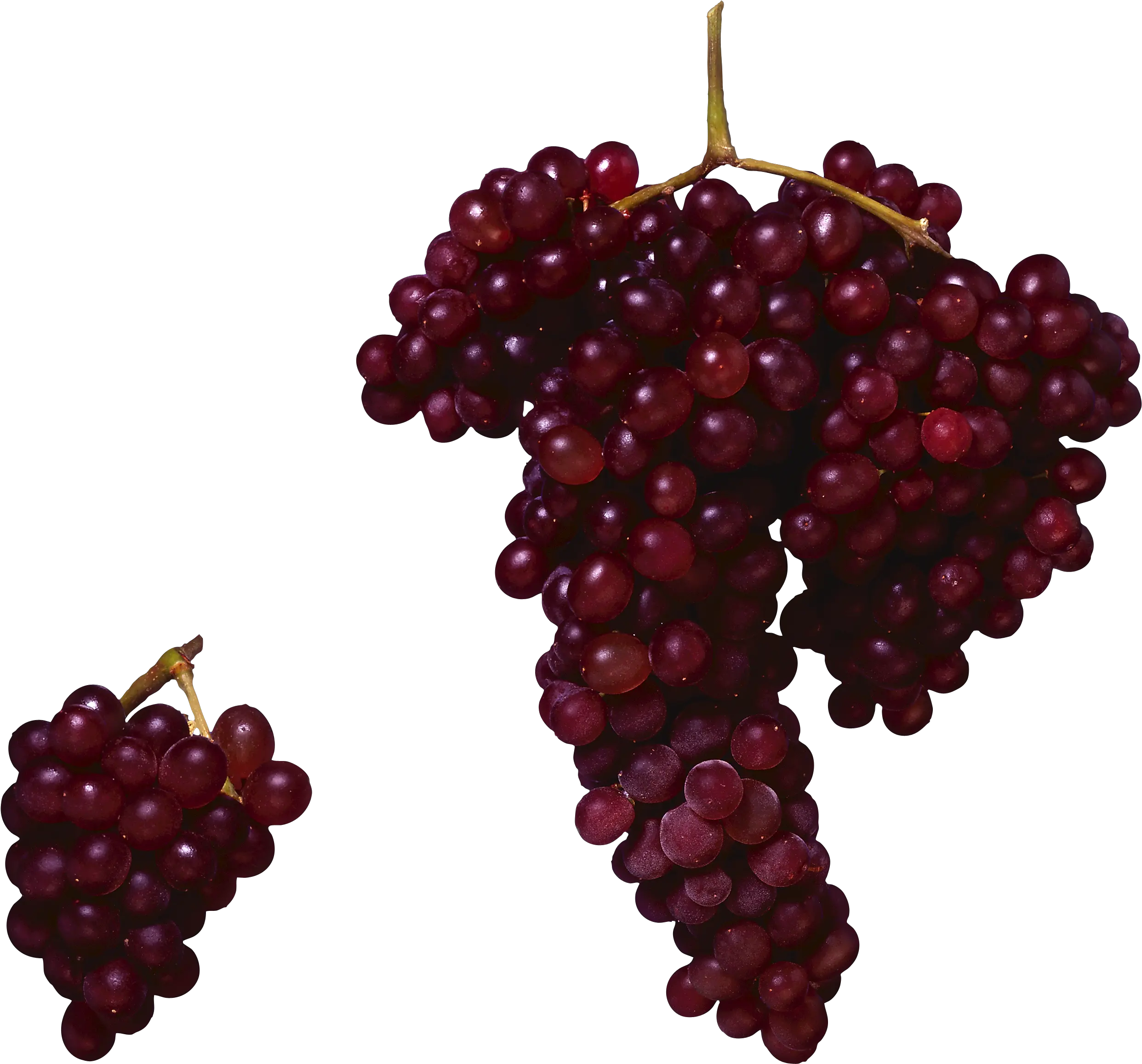 Red Grapes Png Image For Free Download Red Grape Png Grape Png