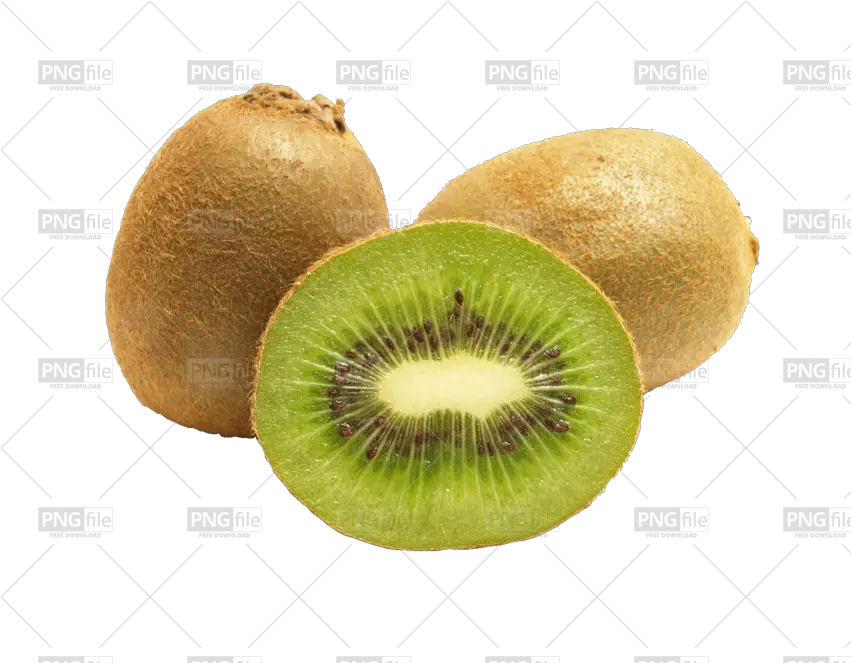 Kiwi Fruit Png Free Download Photo 293 Pngfilenet Kiwi Png