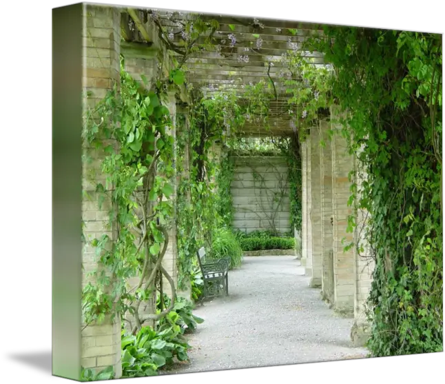 Mainau Flowers And Vines By Vicki Liston Vertical Png Wall Vines Png