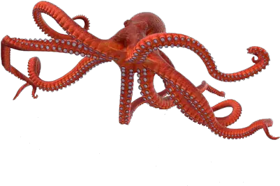 Octopus Png Photo Background Octopus 3d Png Octopus Png