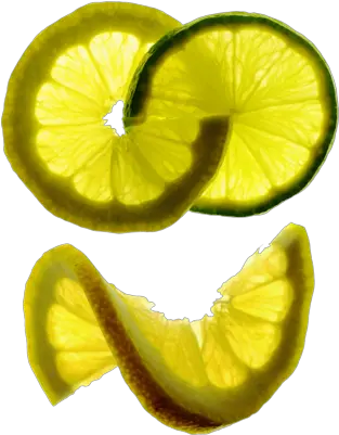 Free Lemon U0026 Lime Twist Psd Vector Graphic Vectorhqcom Citrus Fruits Png Limon Png
