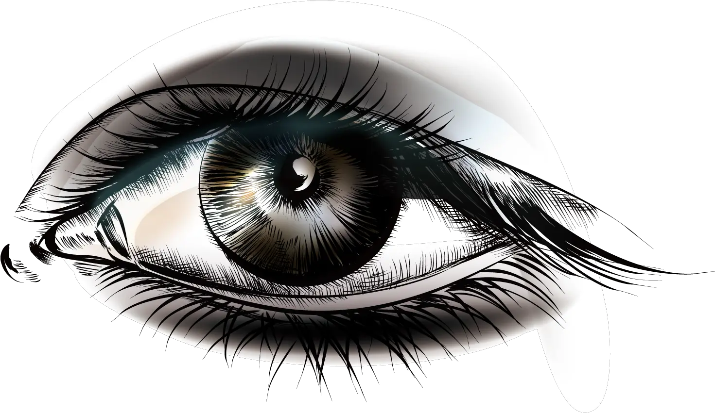 Png Images Pngs Eye Eyeball 11png Snipstock Eyes Icon