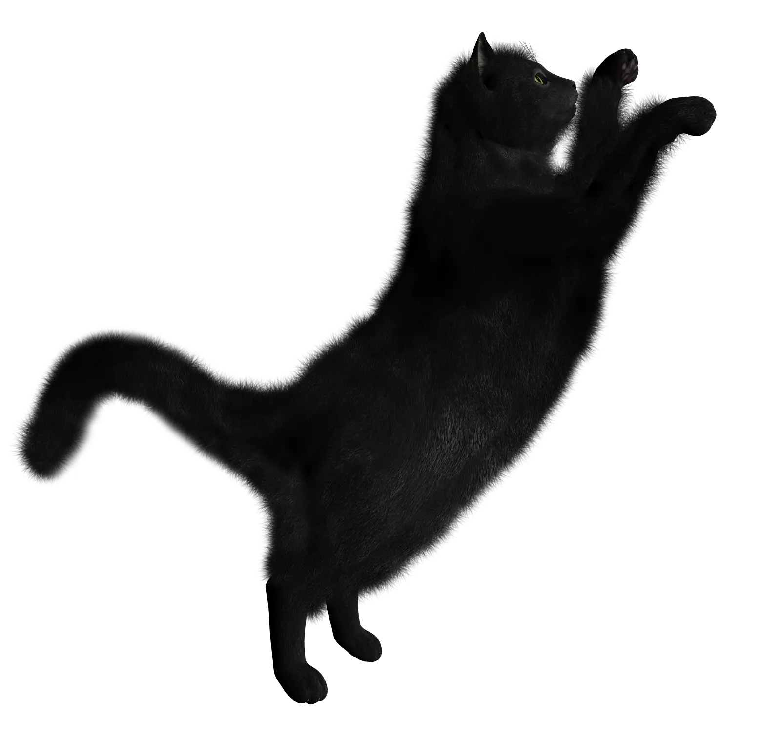 Cat Bus Png