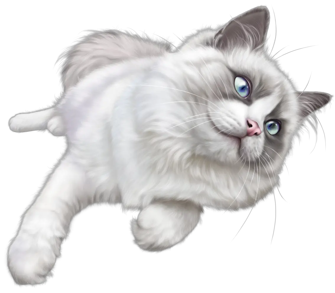 Cat Anime Png