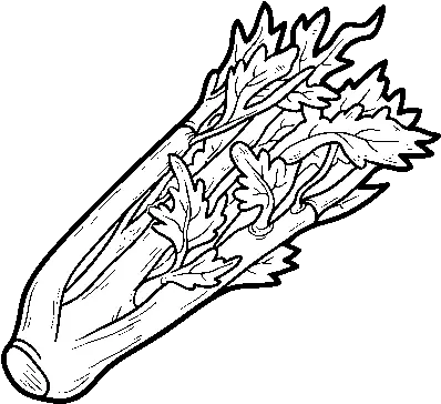 A Celery Coloring Page Coloringcrewcom Celery Coloring Pages Png Celery Png