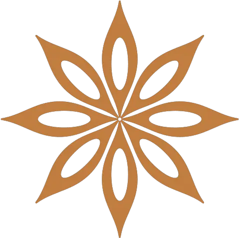 Welcome To Napice Official Website Mulled Wine Star Anise Icon Free Png Spice Icon