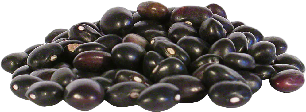 Black Beans Png Image Black Beans Png Beans Png