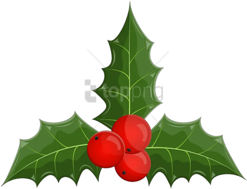 Free Png Christmas Holly Mistletoe Clip Art Christmas Mistletoe Png Png Mistletoe Transparent