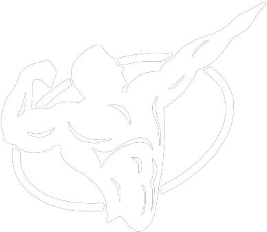 Top Shape Gym Transparent Gym Logo Png Gym Logo