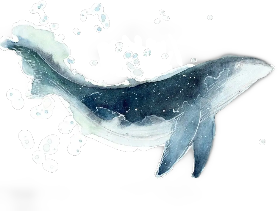 Whale Galaxy Watercolor Sticker By Luciacampos Whale Watercolor Png Whale Transparent