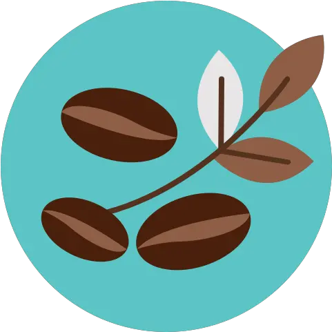 Bean Coffee Leaf Leave Icon Hoja De Cafe Png Leave Png