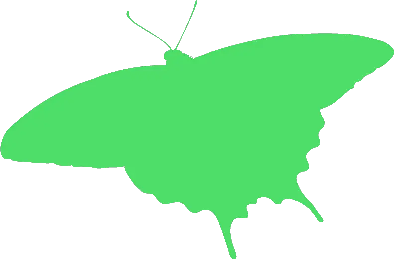 Swallowtail Butterfly Silhouette Free Vector Silhouettes Butterfly Png Butterfly Silhouette Png png