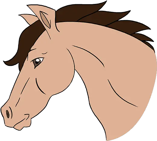 Cartoon Horse Head Drawing Clipart Cartoon Horse Head Drawing Png Horse Head Png