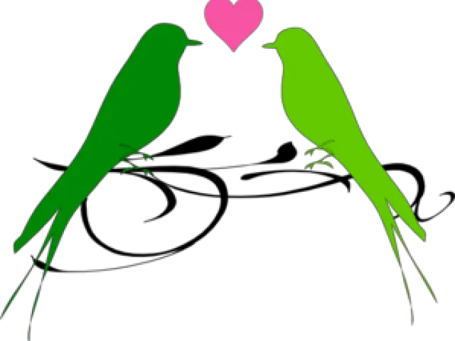 Library Of Lovebird Picture Png Files Transparent Love Birds Png Parrot Transparent Background