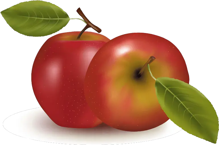 Orange Apple Apricot Cherry Plum Png Images Download Vector 8 Kinds Of Fruits Plum Png