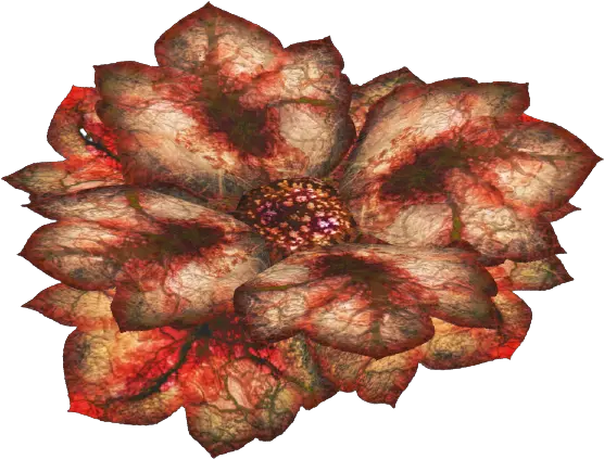 Bloodleaf Flower Png Fallout 4 Honeycomb Icon