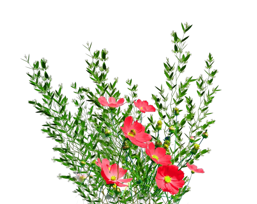 Download Garden Png Background Image Png Format Real Flower Png Garden Flowers Png