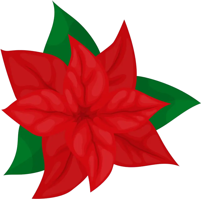 Poinsettia Clipart Clipartworld Flower Png Poinsettia Icon Png