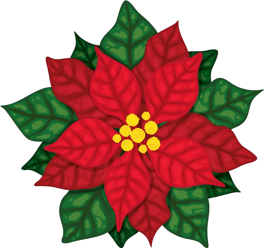 Poinsettia Clipart Clipartworld Poinsettia Png Poinsettia Icon Png