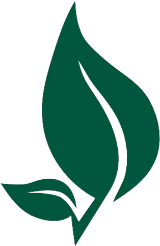 Download Anuja Ayurveda Dhule Leaf Logo Ayurveda Leaf Leaf Clipart Png Leaf Logo png