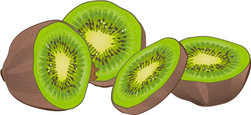 Kiwi Clipart Fruit Philippine Kiwi Fruit Clipart Png Kiwi Transparent