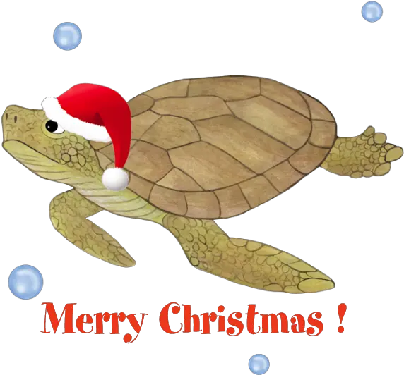 Download Favorite Merry Christmas Sea Turtle Png Image Turtle Christmas Background Turtle Transparent Background