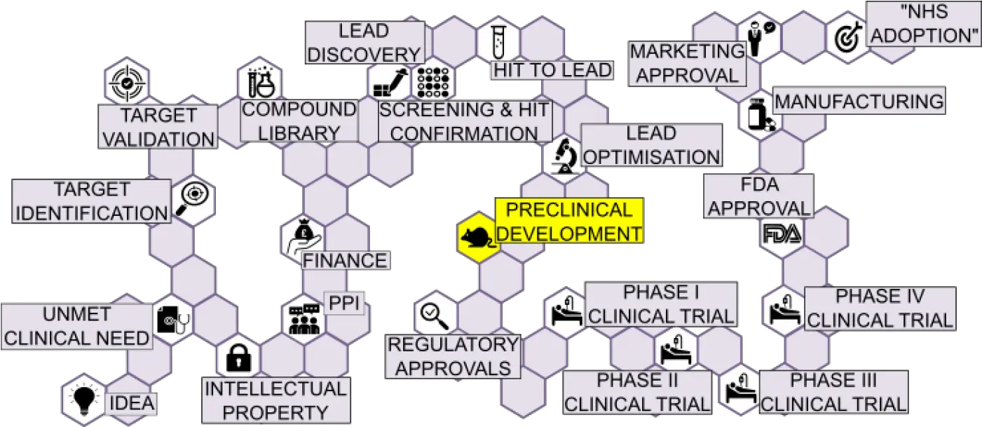 Preclinical Development Small Molecules Ucl Therapeutic Vertical Png Needtomeet Icon