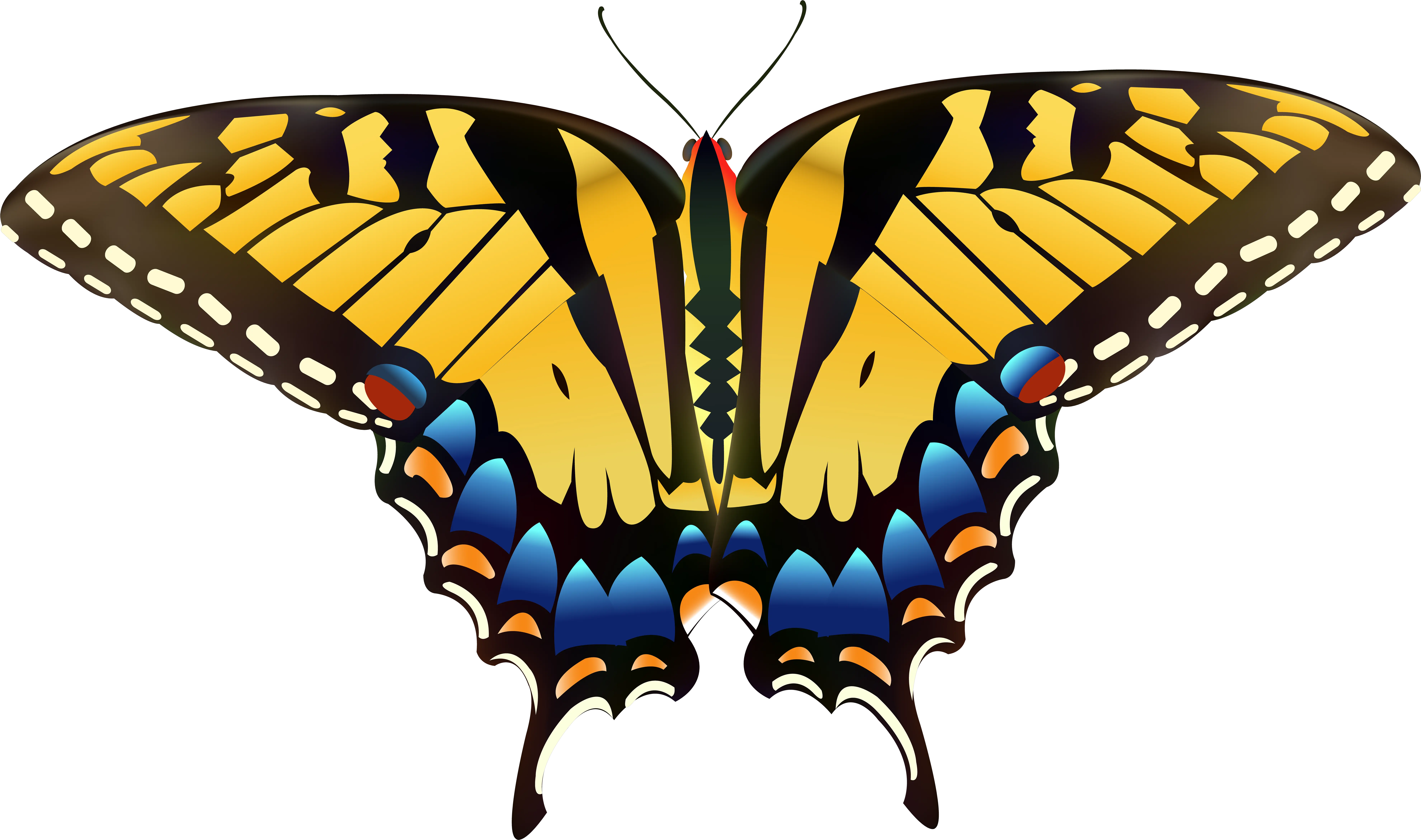 Yellow Butterfly Clipart Png Tiger Swallowtail Butterfly Drawing Butterfly Png Clipart png