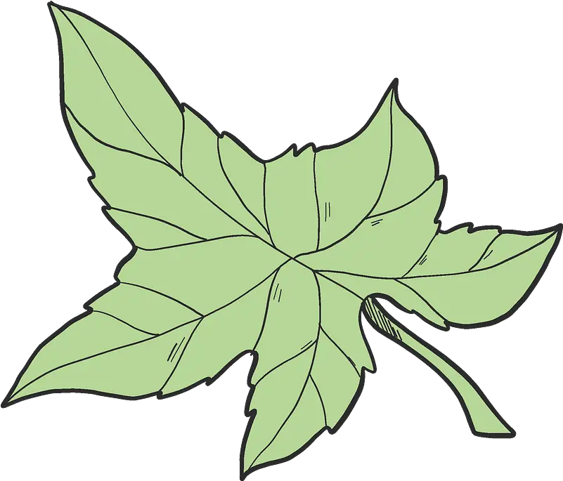 Ivy Leaf Clipart Free Download Transparent Png Creazilla Ivy Leaf Clipart Ivy Transparent