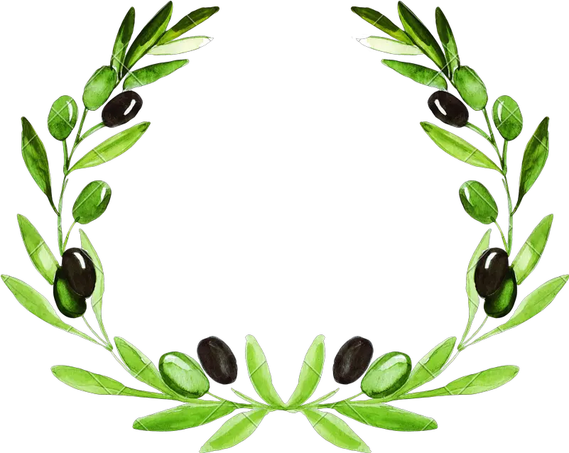 Olive Wreath Olive Wreath Transparent Png Laurel Wreath Transparent