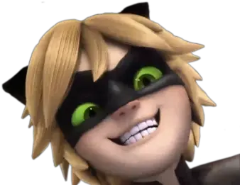 Transparent Chat Noir Chat Noir Miraculous Ladybug Png Miraculous Ladybug Transparent