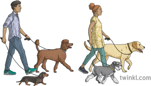 Man And Woman Walking Dogs Animals People Ni Linguistic Leash Png People Walking Dog Png