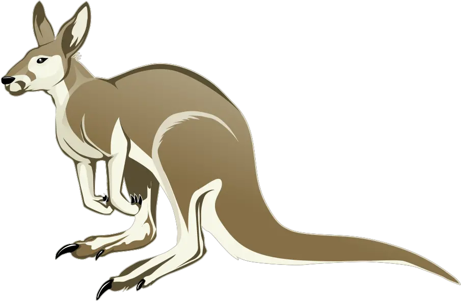 Kangaroo Png Transparent Clipart Image Cartoon Kangaroo Transparent Background Kangaroo Transparent Background